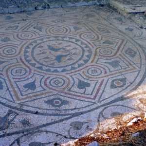 A Late Roman mosaic with bird motifs.