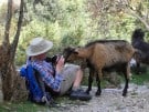 Peter Sommer and goat on the island of Brač in Croatia