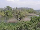 The River Strymon at Amphipolis in Greece