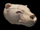 Alabaster rhyton in the shape of the head of a lioness from the Palace of Knossos in Heraklion Archaeological Museum on Crete