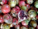 Delicious pomegranates at a market stall in Athens, a few days before Christmas 2012