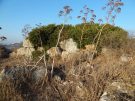A small part of the Lelegian Wall at Myndos. Until later in the summer, it is largely obscured by the shrubbery which covers the hill.