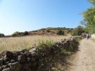 The path skirting through what was once the centre of ancient Myndos. The field on the left contained public buildings, still awaiting exploration...