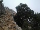 A characteristic stretch of the Lycian way: stone-paved mule-track on the slopes of Mt. Babadağ, in Turkey
