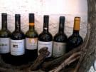 Bottled wines (mostly Assyrtiko) on display at the Argyros Estate, one of our favourite wineries in Santorini.