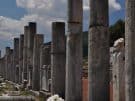 A colonnade next to Messene's stadium plus oleander blossom in the Peloponnese in Greece.