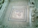 Room with lion mosaic in Terrace House 2 at Ephesus. The limitation of the figural decor to the central zone suggests that couches were meant to be placed around it, and that the space was used for dining and/or feasting.