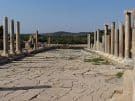 A colonnade flanks the Roman main road through Patara in Turkey