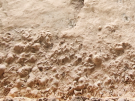 Excavated pottery fragments from the