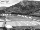An old black-and-white postcard of the Ston salt pans in Croatia, showing rectangular evaporation ponds with small white mounds of harvested salt arranged in a grid, set against a backdrop of steep, rugged mountains.