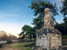 The Lion of Amphipolis, a monumental 4th-century BC tomb sculpture in Macedonia, Greece. The large marble lion sits atop a tiered stone pedestal, surrounded by tall pine trees and a clear blue sky.
