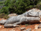The ancient, unfinished stone statue known as the Kouros of Flerio lying on the ground in an outdoor archaeological setting on Naxos Island, Greece. The massive, roughly carved marble figure rests on its back upon reddish-brown dirt and rocks, looking weathered and covered in gray and white lichen patches. The surrounding landscape features a hillside dense with green shrubs, wild bushes, and a thin, white boundary rope strung along posts to protect the relic.