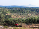 A panoramic view from the archaeological site of the Palace of Nestor, overlooking rolling hills of olive groves toward Navarino Bay and the Ionian Sea in the distance.