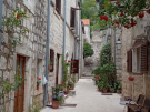 A narrow, quiet pedestrian street in Ston, Croatia, lined with historic stone buildings with dark wooden shutters. Colourful potted flowers and climbing vines with red blossoms decorate the walkway, which leads toward a steep set of ancient stone stairs built into the hillside in the background.