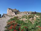 The archaeological site of Tiryns in Greece with poppies in the foreground