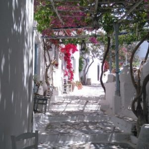A typical lane in the Chora Amorgos, with whitewashed steps and walls, shaded by vines, the occasional Bougainvillea adding a dash of colour. The serinity of the place has to be seen (and felt) to be believed.